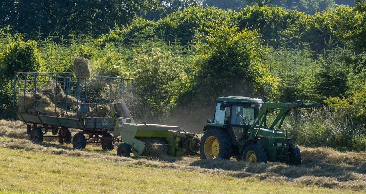 Agronegócio e petróleo devem levar Brasil a maior superávit comercial da série histórica